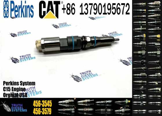 Engine Fuel Injector Gp-Fuel 456-3545 4563545 20R5078 20R-5078 for Caterpillar Excavator