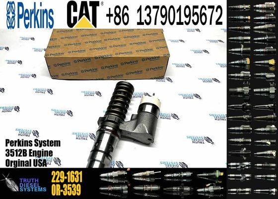 New common rail injector 229-1631 437-7547 245-8272 8E-8836 246-1854 392-0203 for diesel engine CAT