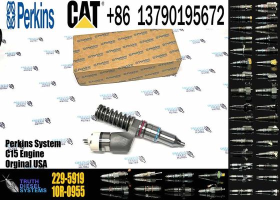 Excavator Parts 229-5919 Fuel Injector 229-5919 10R-1000 10R-1000 for CAT C18 C15 C12 C13 3406E Series