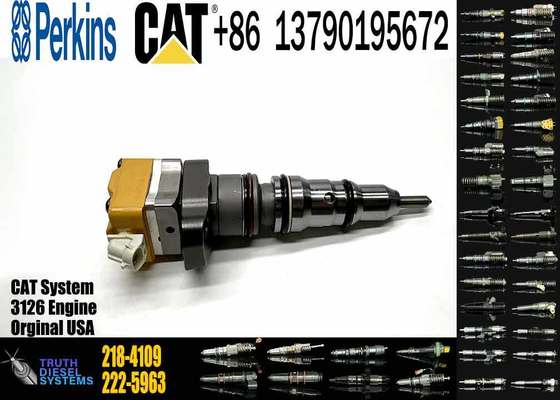 Common Diesel Injector 218-4109 Fuel Injector 218-4109 10R8999