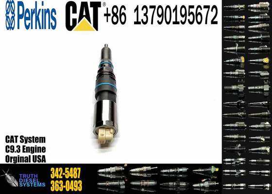 Common Rail Fuel Injector 304-3637 324-5467 342-5487