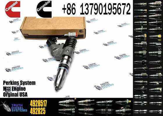 Auto Parts Diesel Injector 4928517 Common Rail Injector 4928517