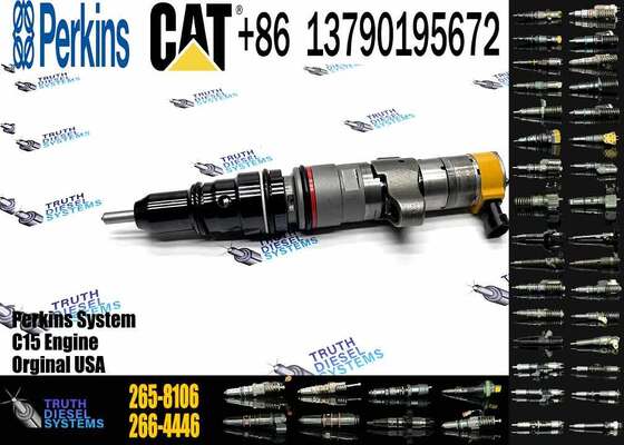 C9 HEUI Injector 258-8745 Diesel Fuel Injector 265-8106 293-4074 for Caterpillar Excavator C9 Engine Parts