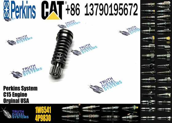 Construction Machinery Parts Fuel Injection Pump Plunger 4P9830 1W6541 7W5929 for Cat Engine 3304 3306 Plunger