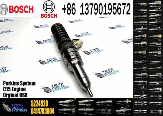Hot Sell Common Rail Fuel Injector 0414703003 0414703005 0414703007 5224920